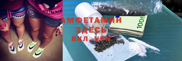 твердый Арсеньев
