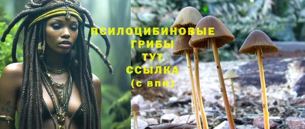 спайс Абдулино