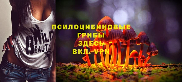 соль ск Абаза