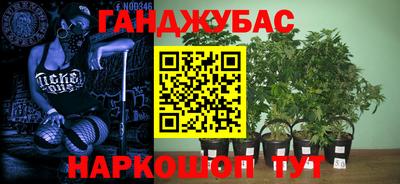 прущая мука Сланцы